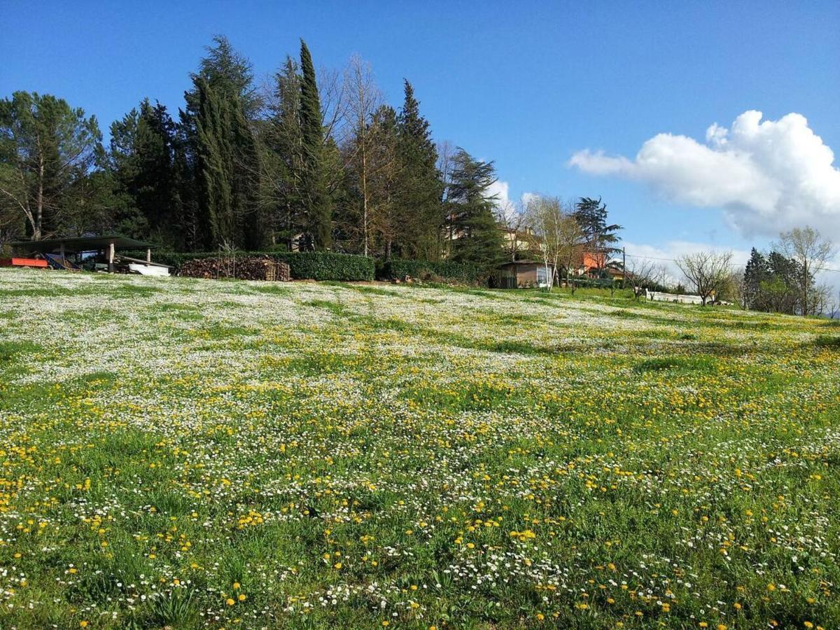 Tuscan Hills Near Florence - Stone House فيتشو المظهر الخارجي الصورة