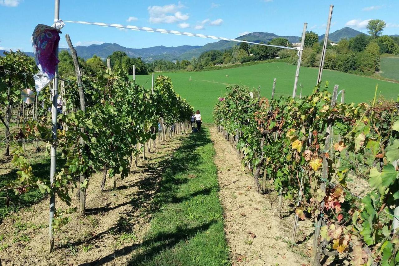 Tuscan Hills Near Florence - Stone House فيتشو المظهر الخارجي الصورة