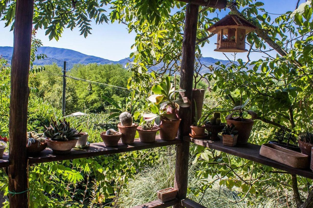 Tuscan Hills Near Florence - Stone House فيتشو المظهر الخارجي الصورة