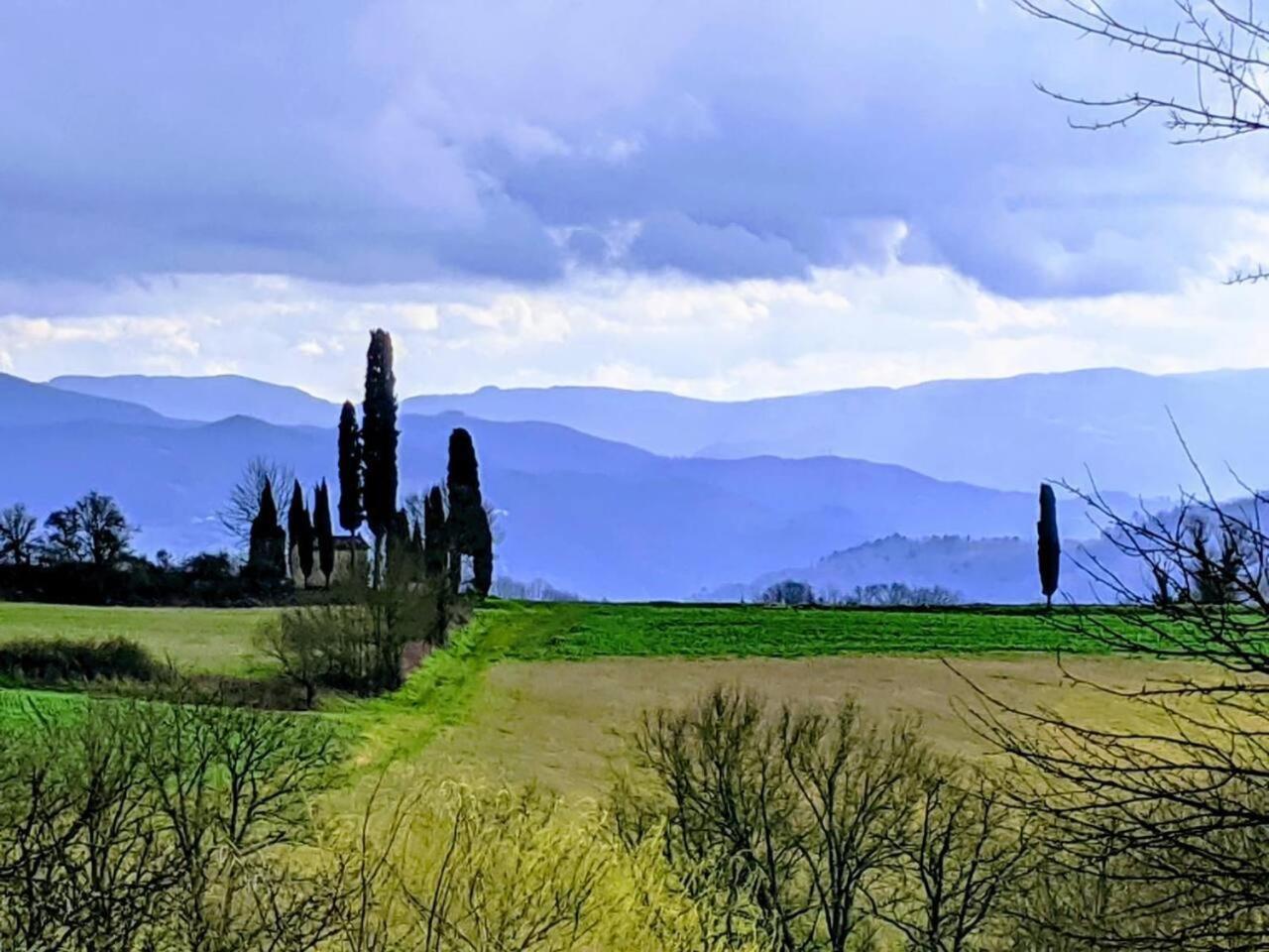 Tuscan Hills Near Florence - Stone House فيتشو المظهر الخارجي الصورة